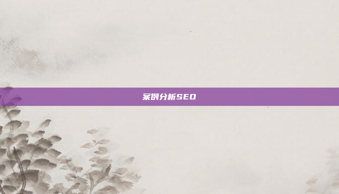 案例分析SEO