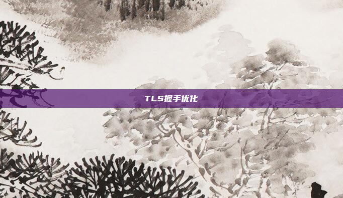 TLS握手优化