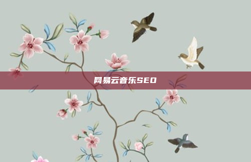 网易云音乐SEO