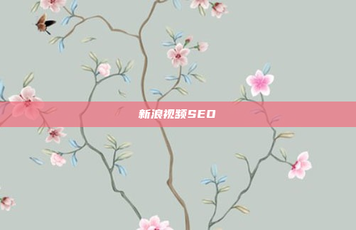 新浪视频SEO