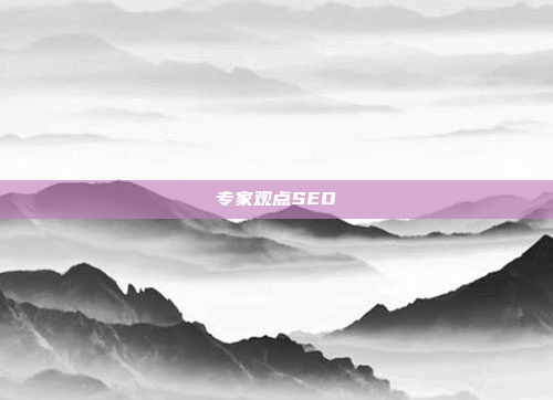 专家观点SEO