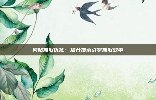 网站抓取优化：提升搜索引擎抓取效率
