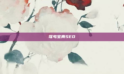 驾考宝典SEO