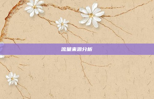 流量来源分析