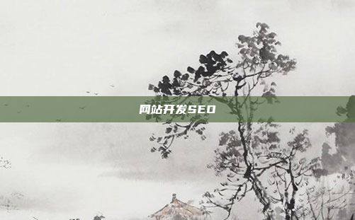 网站开发SEO