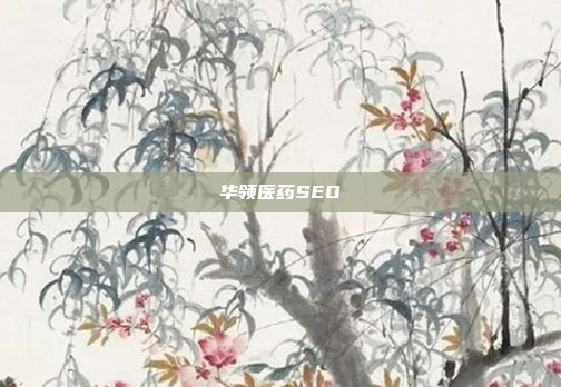 华领医药SEO
