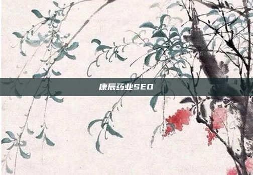 康辰药业SEO