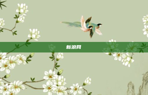 新浪网