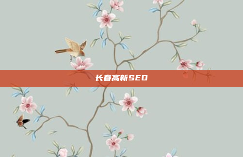 长春高新SEO