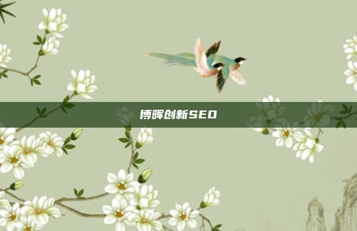 博晖创新SEO