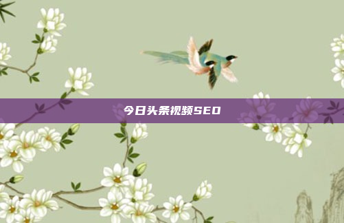 今日头条视频SEO