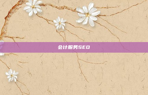 会计服务SEO