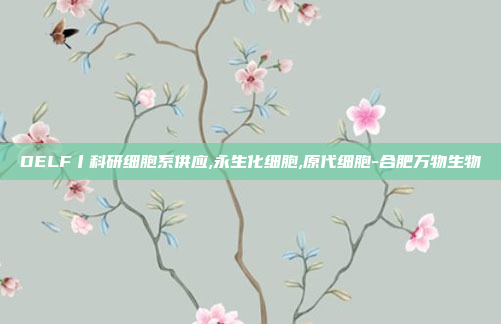 DELF丨科研细胞系供应,永生化细胞,原代细胞-合肥万物生物