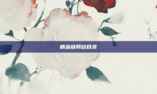 精品链网站目录