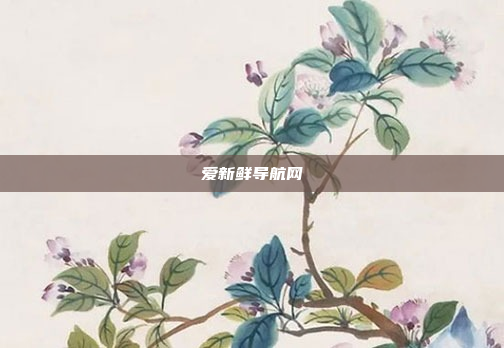 爱新鲜导航网