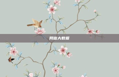 网信大数据