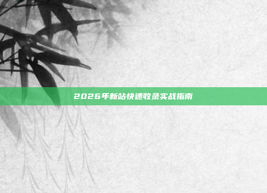 2026年新站快速收录实战指南