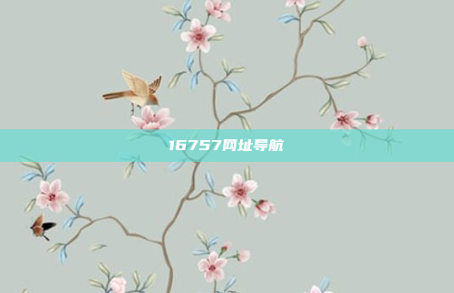 16757网址导航