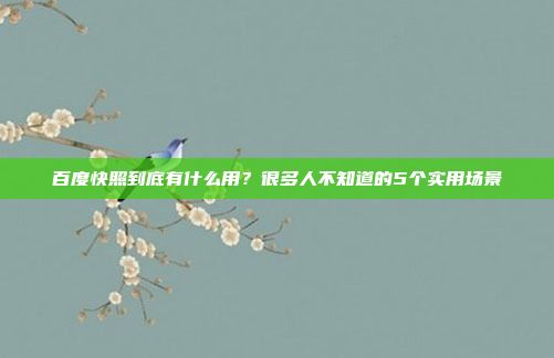 百度快照到底有什么用?很多人不知道的5个实用场景