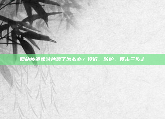 网站被镜像站抄袭了怎么办？投诉、防护、反击三步走