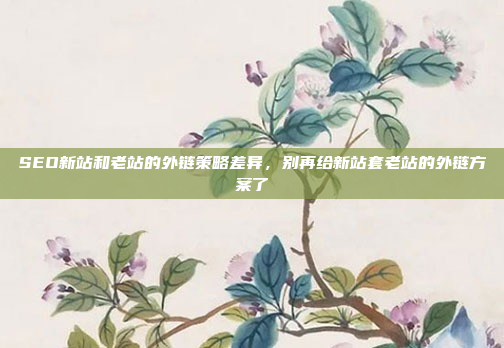 SEO新站和老站的外链策略差异,别再给新站套老站的外链方案了