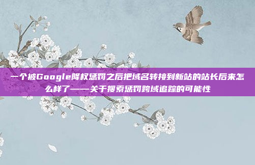 一个被Google降权惩罚之后把域名转接到新站的站长后来怎么样了——关于搜索惩罚跨域追踪的可能性