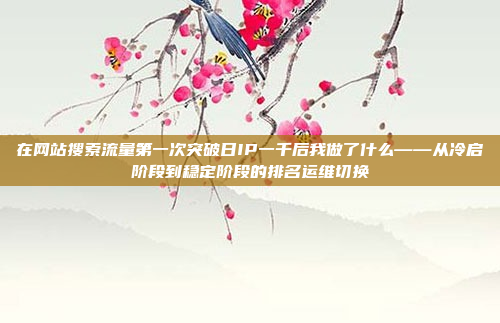 在网站搜索流量第一次突破日IP一千后我做了什么——从冷启阶段到稳定阶段的排名运维切换
