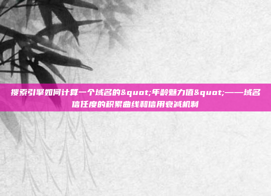 搜索引擎如何计算一个域名的"年龄魅力值"——域名信任度的积累曲线和信用衰减机制
