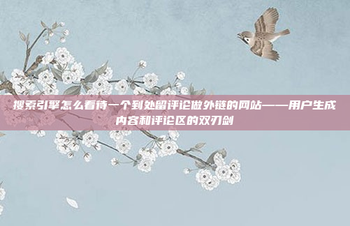 搜索引擎怎么看待一个到处留评论做外链的网站——用户生成内容和评论区的双刃剑