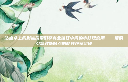 站点从上线到被搜索引擎完全信任中间的审核观察期——搜索引擎对新站点的隐性观察阶段