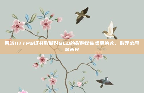 网站HTTPS证书到期对SEO的影响比你想象的大,别等出问题再换