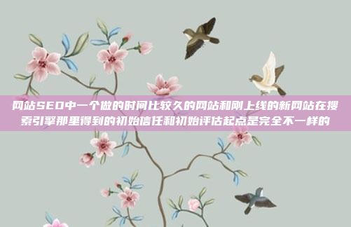 网站SEO中一个做的时间比较久的网站和刚上线的新网站在搜索引擎那里得到的初始信任和初始评估起点是完全不一样的