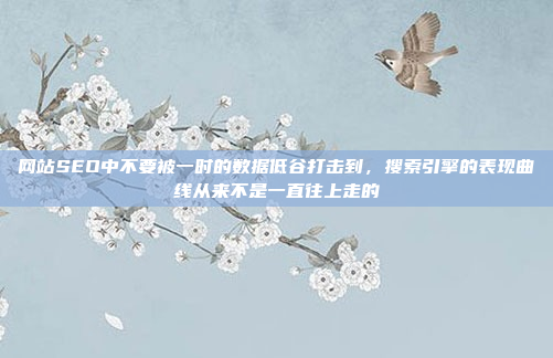 网站SEO中不要被一时的数据低谷打击到,搜索引擎的表现曲线从来不是一直往上走的