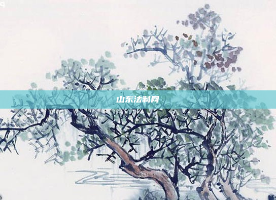 山东法制网