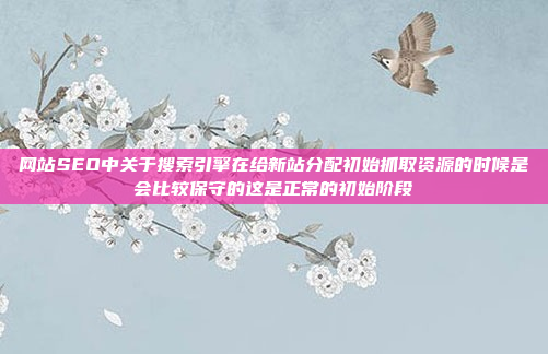 网站SEO中关于搜索引擎在给新站分配初始抓取资源的时候是会比较保守的这是正常的初始阶段