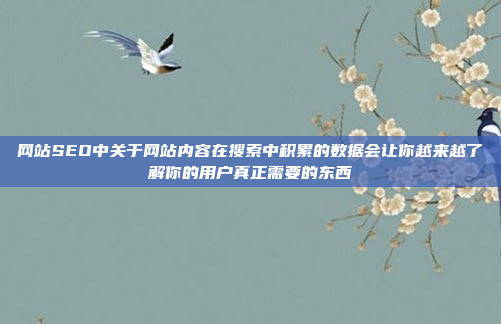 网站SEO中关于网站内容在搜索中积累的数据会让你越来越了解你的用户真正需要的东西