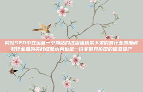 网站SEO中在运营一个网站的过程里积累下来的对行业的理解和行业里的实践经验本身也是一份非常有价值的信息资产