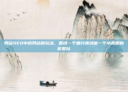 网站SEO中微网站的玩法,围绕一个细分领域做一个小而精的微型站