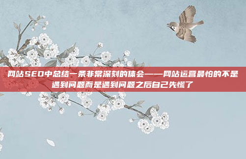 网站SEO中总结一条非常深刻的体会——网站运营最怕的不是遇到问题而是遇到问题之后自己先慌了