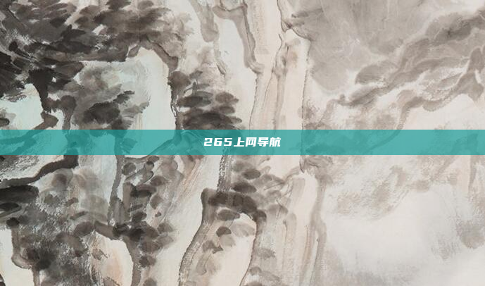 265上网导航