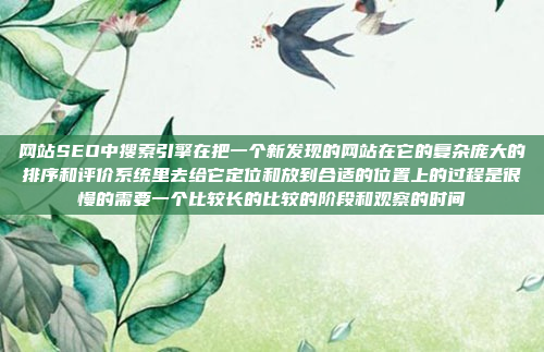 网站SEO中搜索引擎在把一个新发现的网站在它的复杂庞大的排序和评价系统里去给它定位和放到合适的位置上的过程是很慢的需要一个比较长的比较的阶段和观察的时间