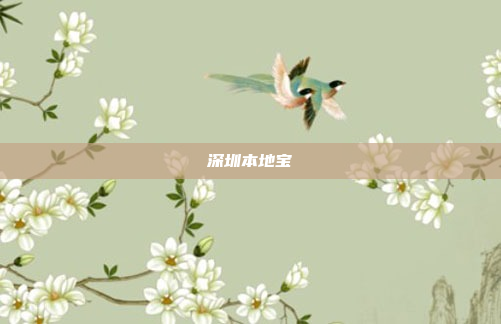 深圳本地宝