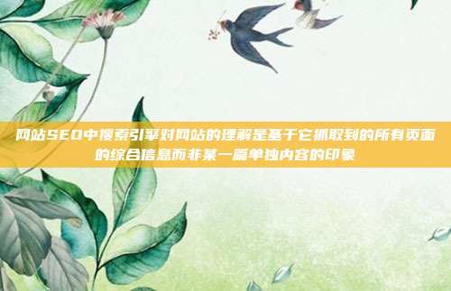 网站SEO中搜索引擎对网站的理解是基于它抓取到的所有页面的综合信息而非某一篇单独内容的印象