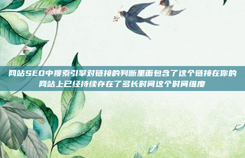 网站SEO中搜索引擎对链接的判断里面包含了这个链接在你的网站上已经持续存在了多长时间这个时间维度