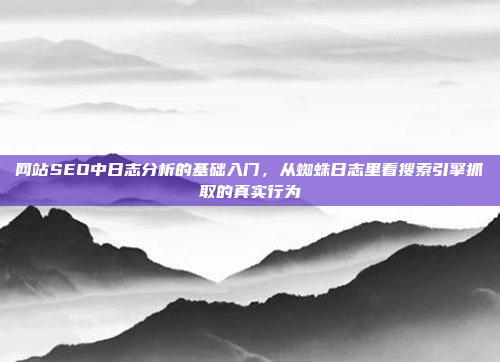 网站SEO中日志分析的基础入门,从蜘蛛日志里看搜索引擎抓取的真实行为