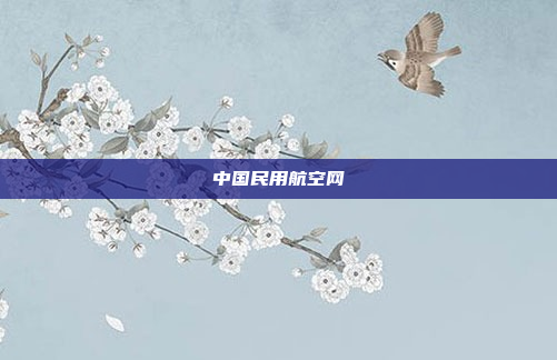 中国民用航空网