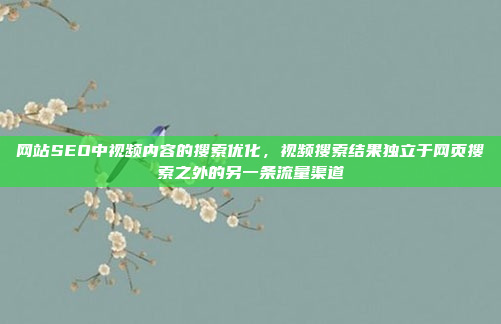 网站SEO中视频内容的搜索优化,视频搜索结果独立于网页搜索之外的另一条流量渠道