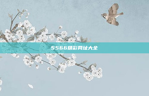 5566精彩网址大全