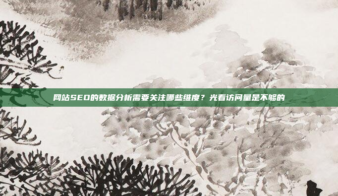 网站SEO的数据分析需要关注哪些维度?光看访问量是不够的