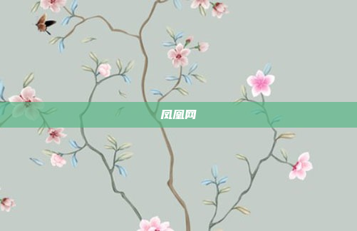 凤凰网